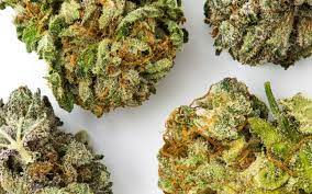 Buy Weed Canada-Know All About The Demands