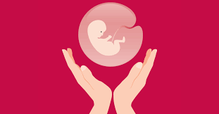Placenta Supplements: Everything You Need to Know
