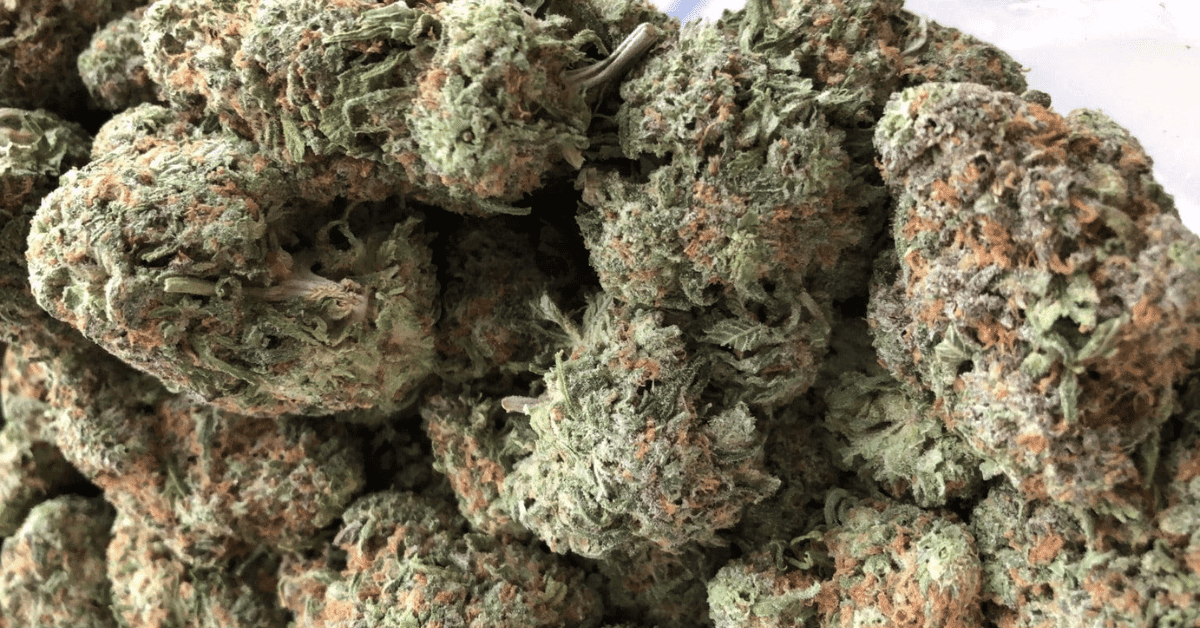 Getting with a weed delivery winnipeg is simple and dependable
