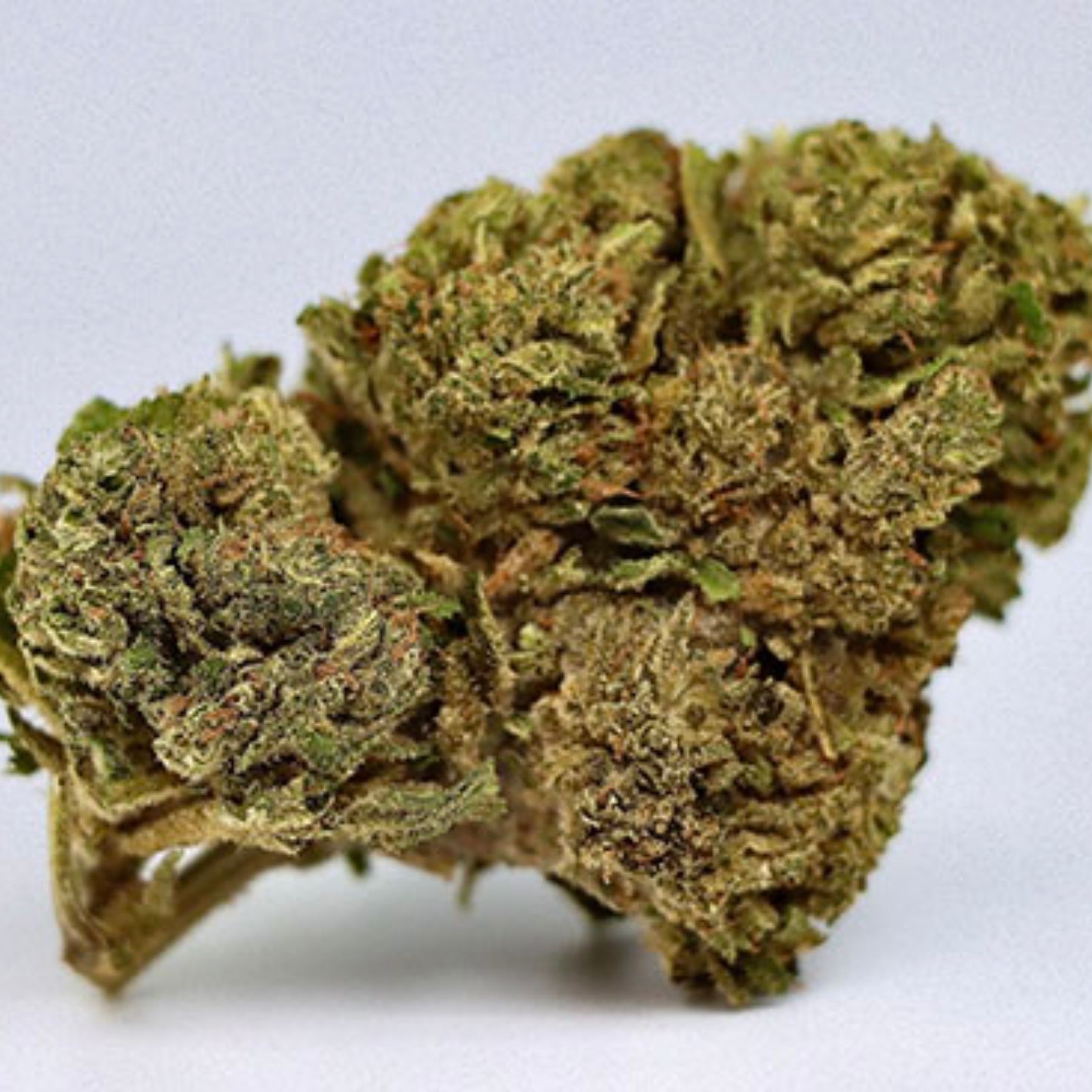 How To Order Bluk Marijuana?