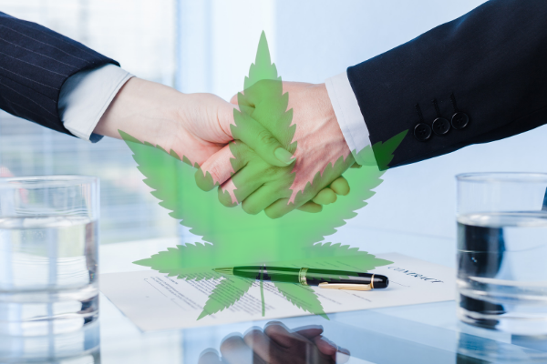 Cannabis Purchase-Leaseback: The Quickest Way Of Getting Funds