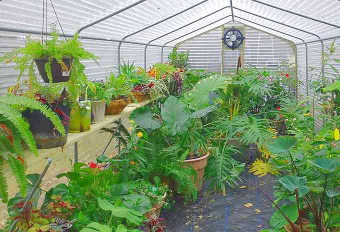 Strategies For Retaining Your Greenhouse Cool In The Summer