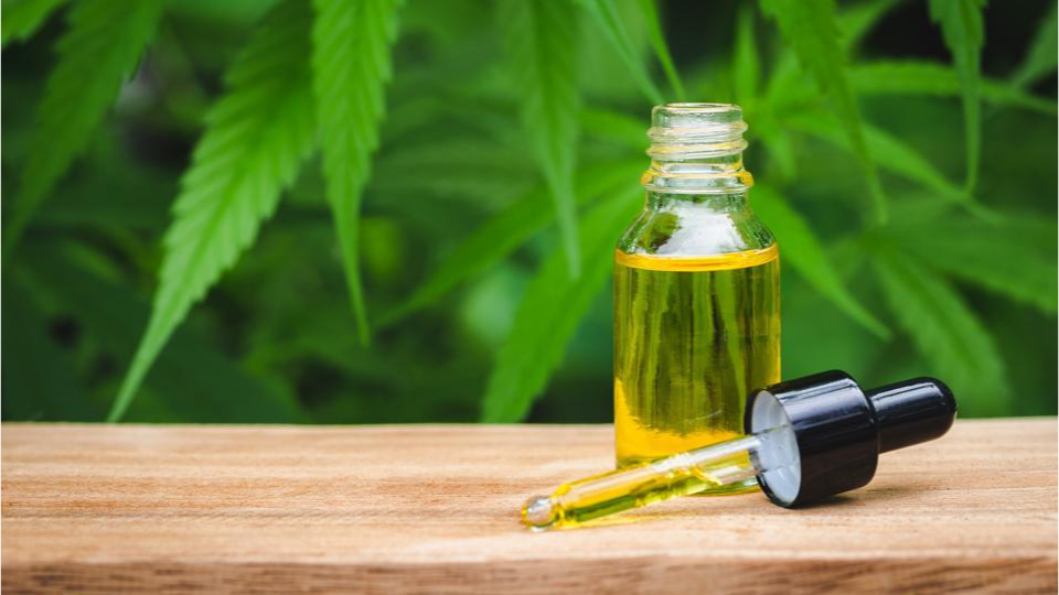 Exploring the Emerging World of CBD Products