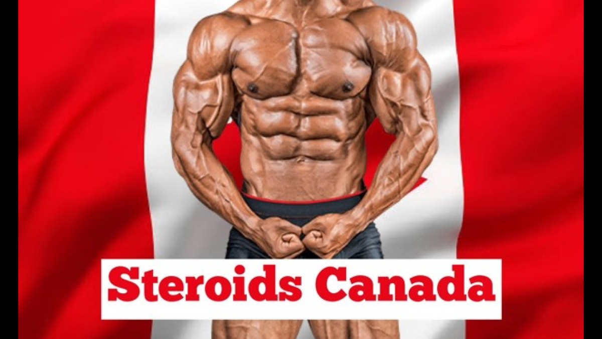 Locate The Best Canadian Steroids