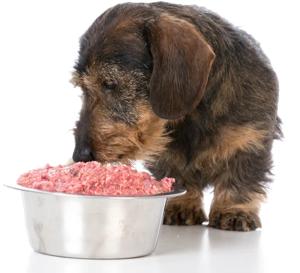 The Best Supplements for Dogs on a Raw Food Diet
