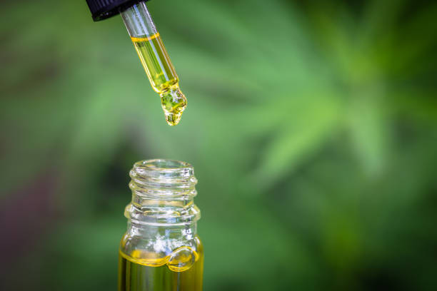 Cbd oil: Can It Help With Symptoms of Post-Traumatic Stress Disorder (PTSD)?