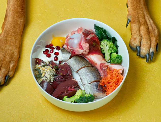 Raw Dog Food: A Guide to Finding Safe and Nutritious Options Near You